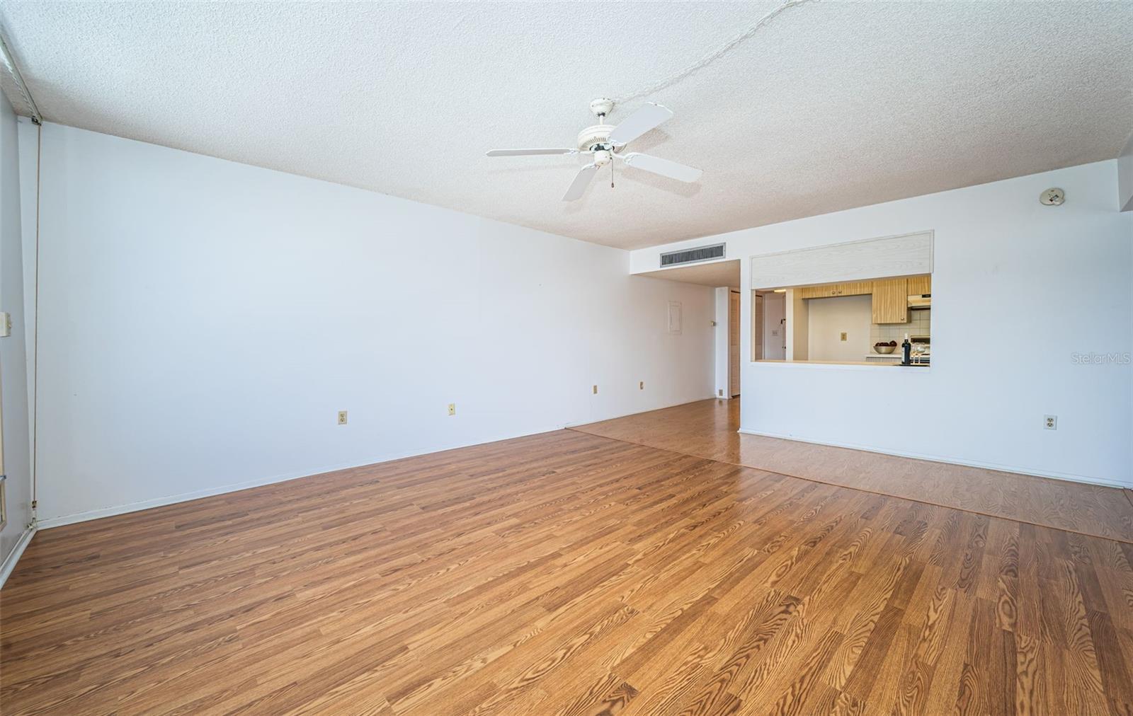 Living Room/Dining Room/Foyer/Kitchen