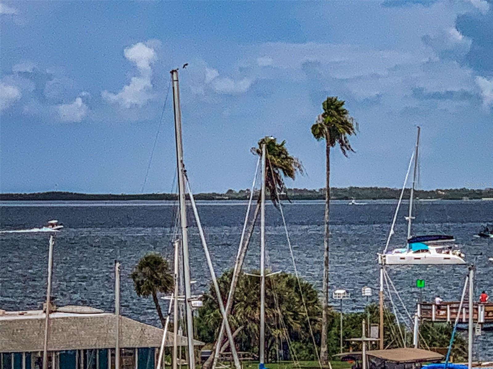 Bedroom View