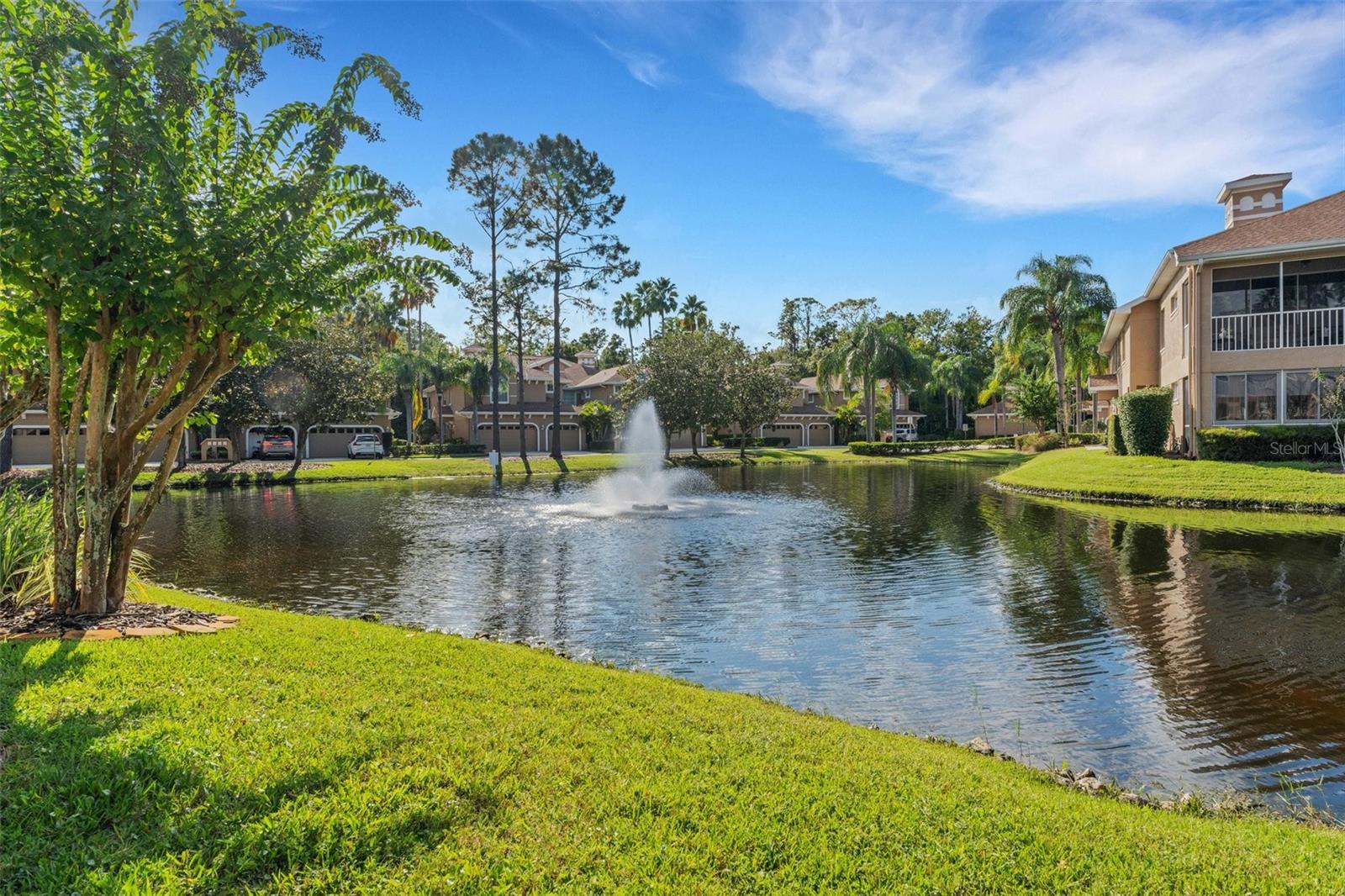 Beautiful pond with fountain