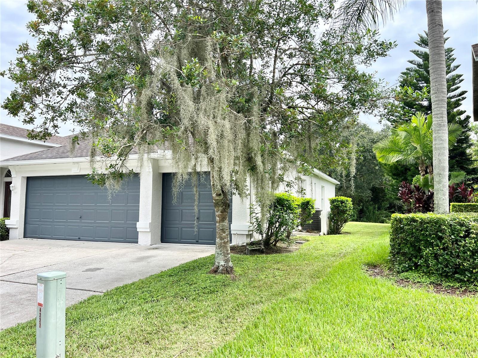 Side Yard View