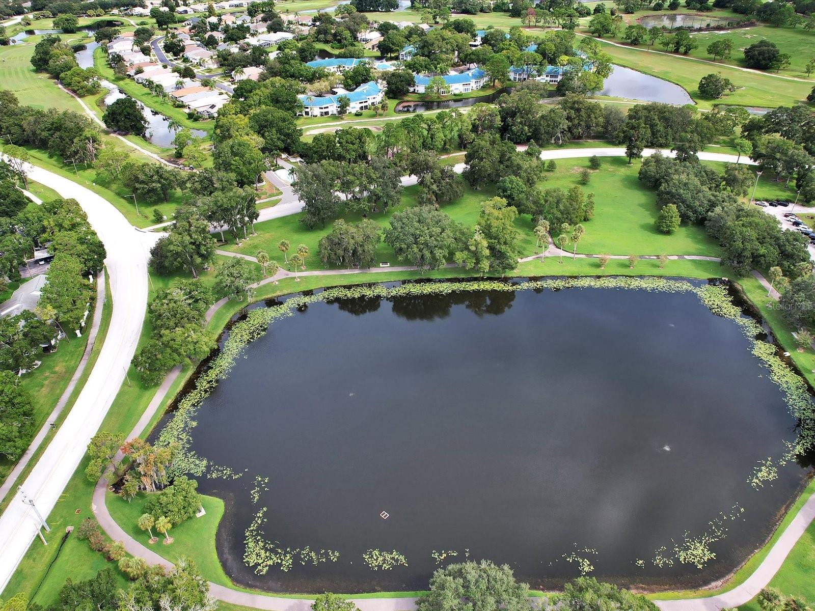 Tarpon Village Park is just steps away w/ a beautiful walking trail around pond