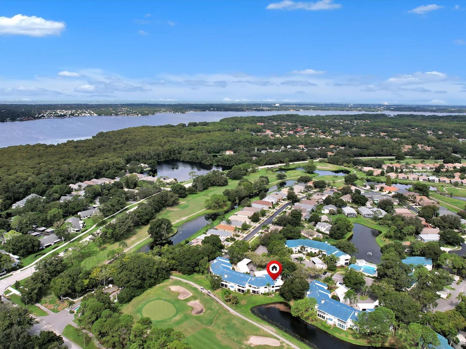 Close to lake tarpon in the East Lake corridor of Palm Harbor