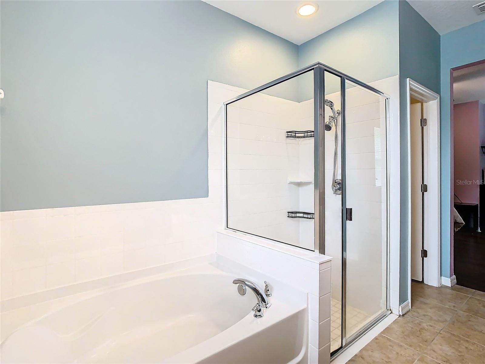 Primary Bath Soaking Tub and Shower