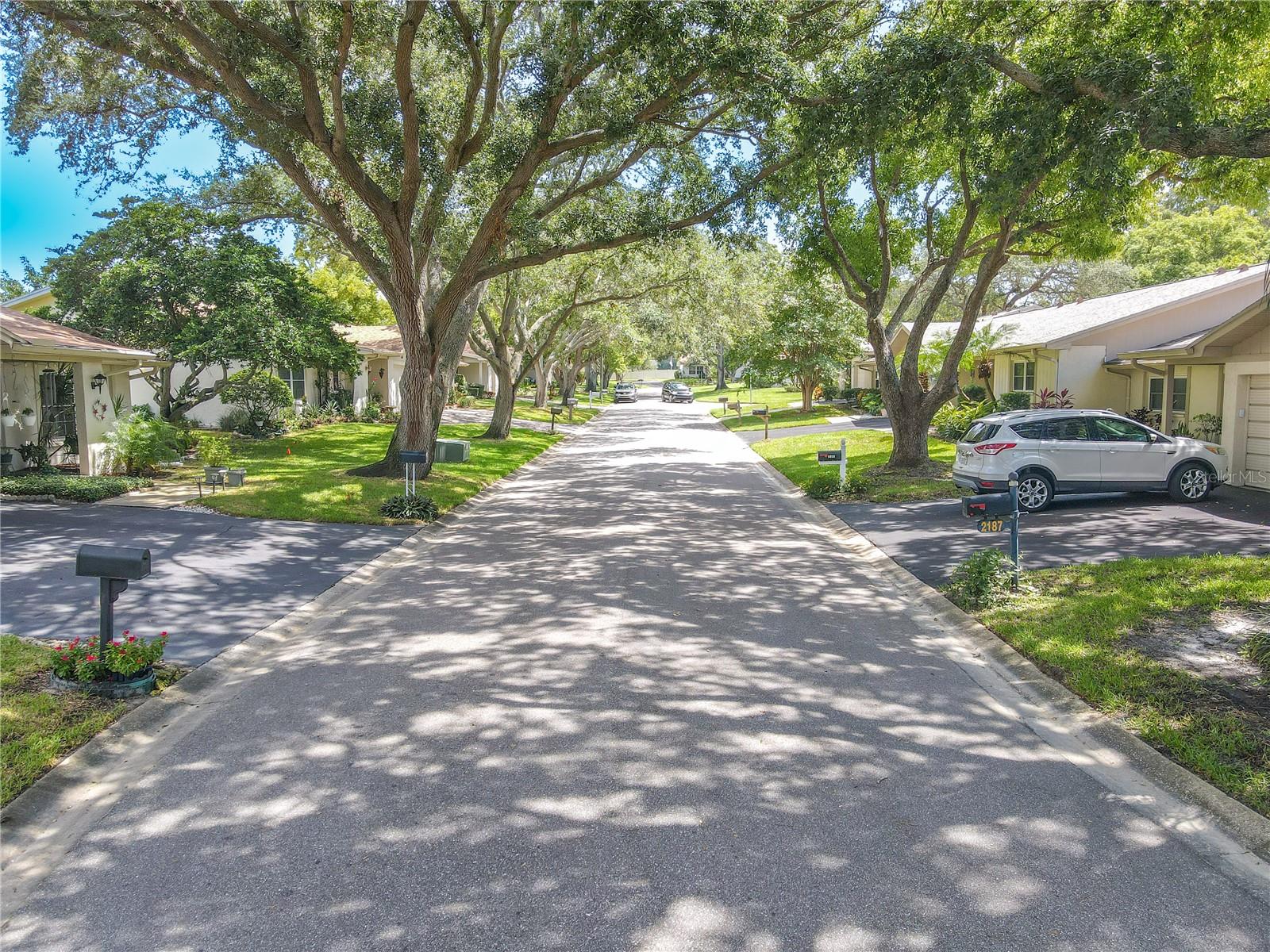 Marshall Dr. is a charming, tree lined, shaded drive.