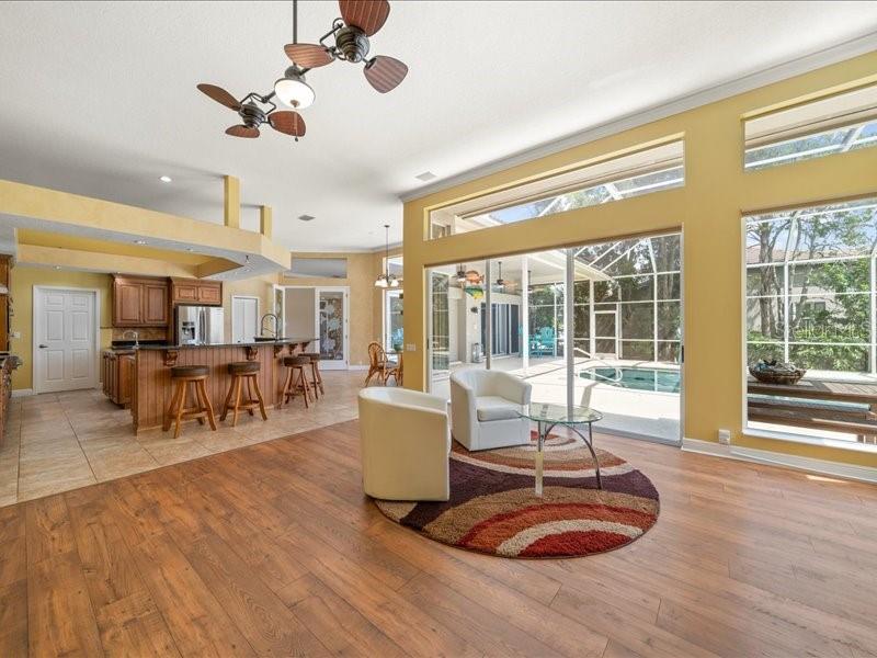 Family room with view!