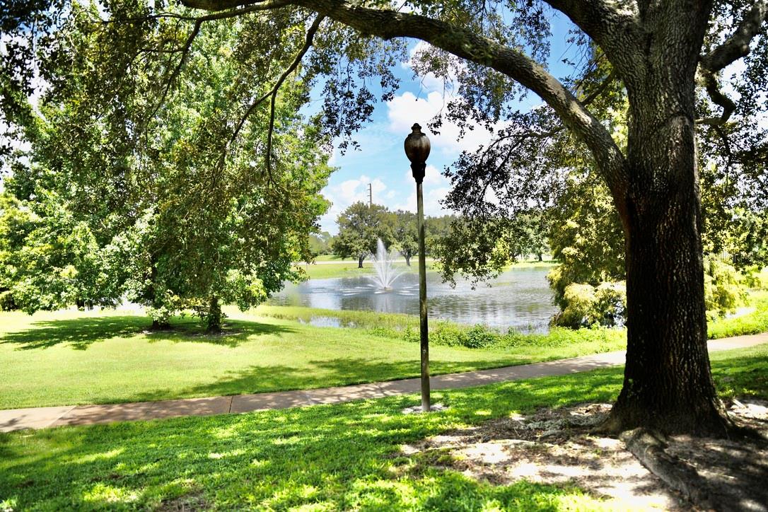 Pond View with fountian