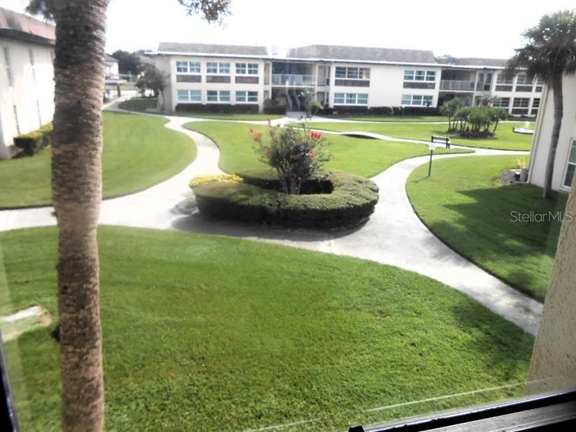 Garden View from Primary Bedroom