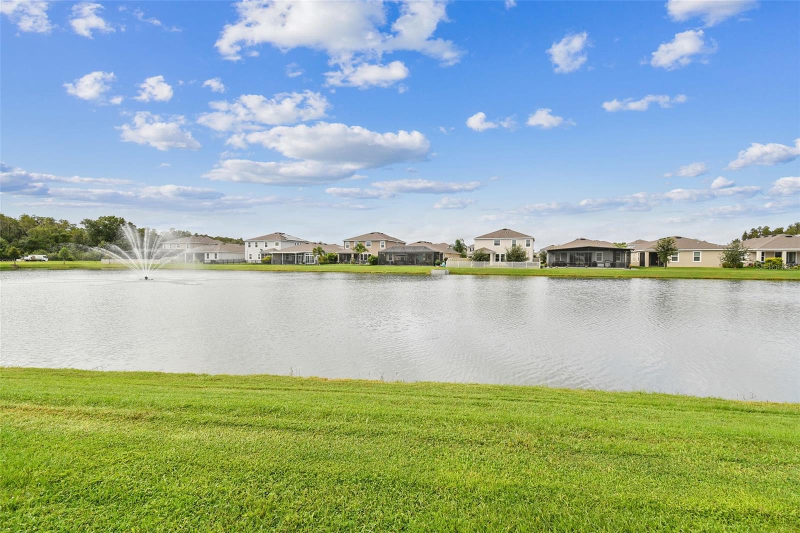 Pond View