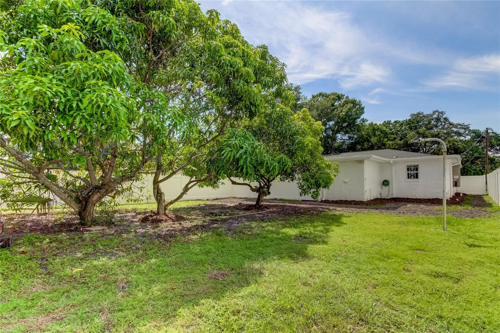 Huge backyard with fruit trees