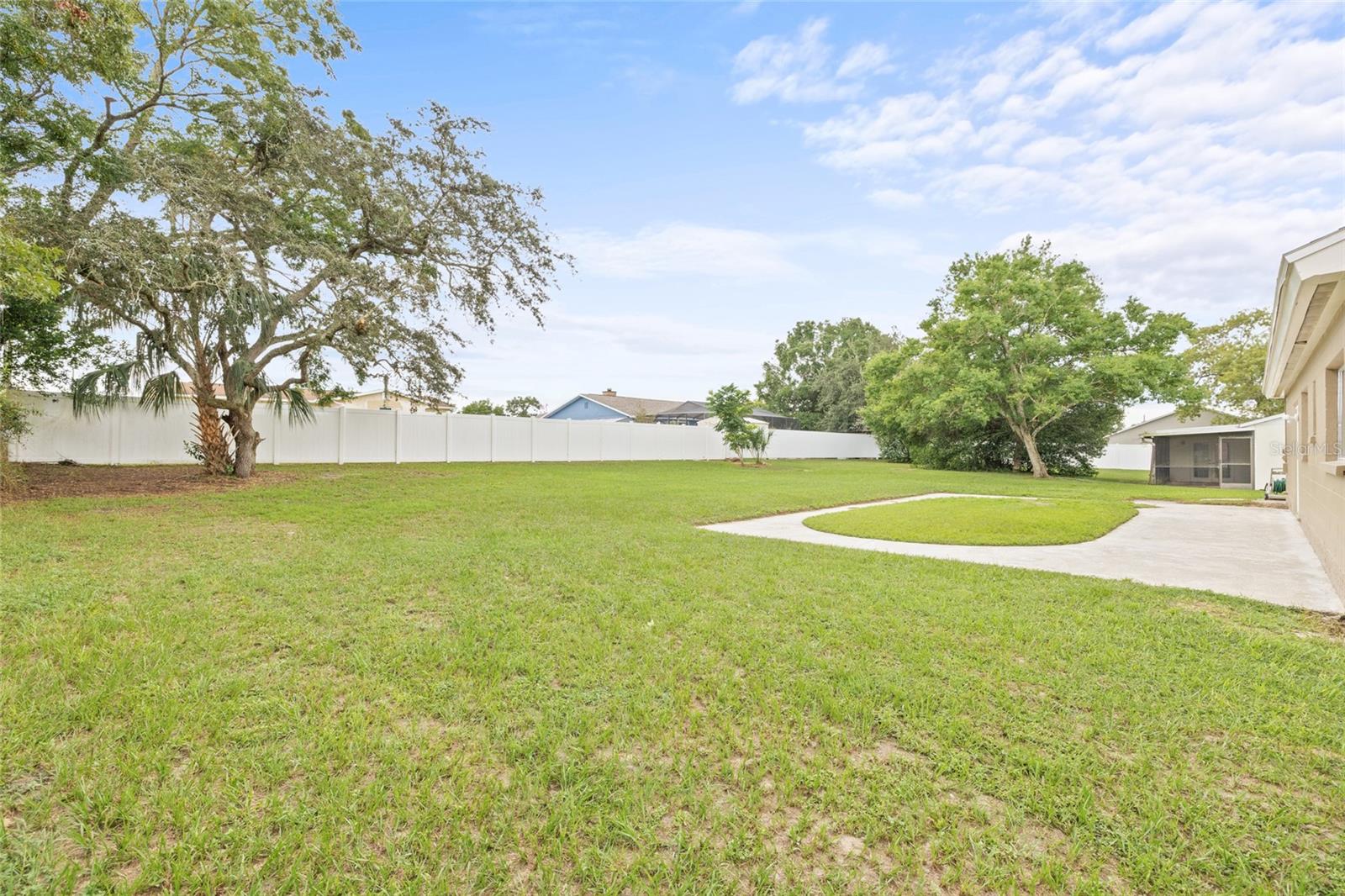 Spacious Backyard