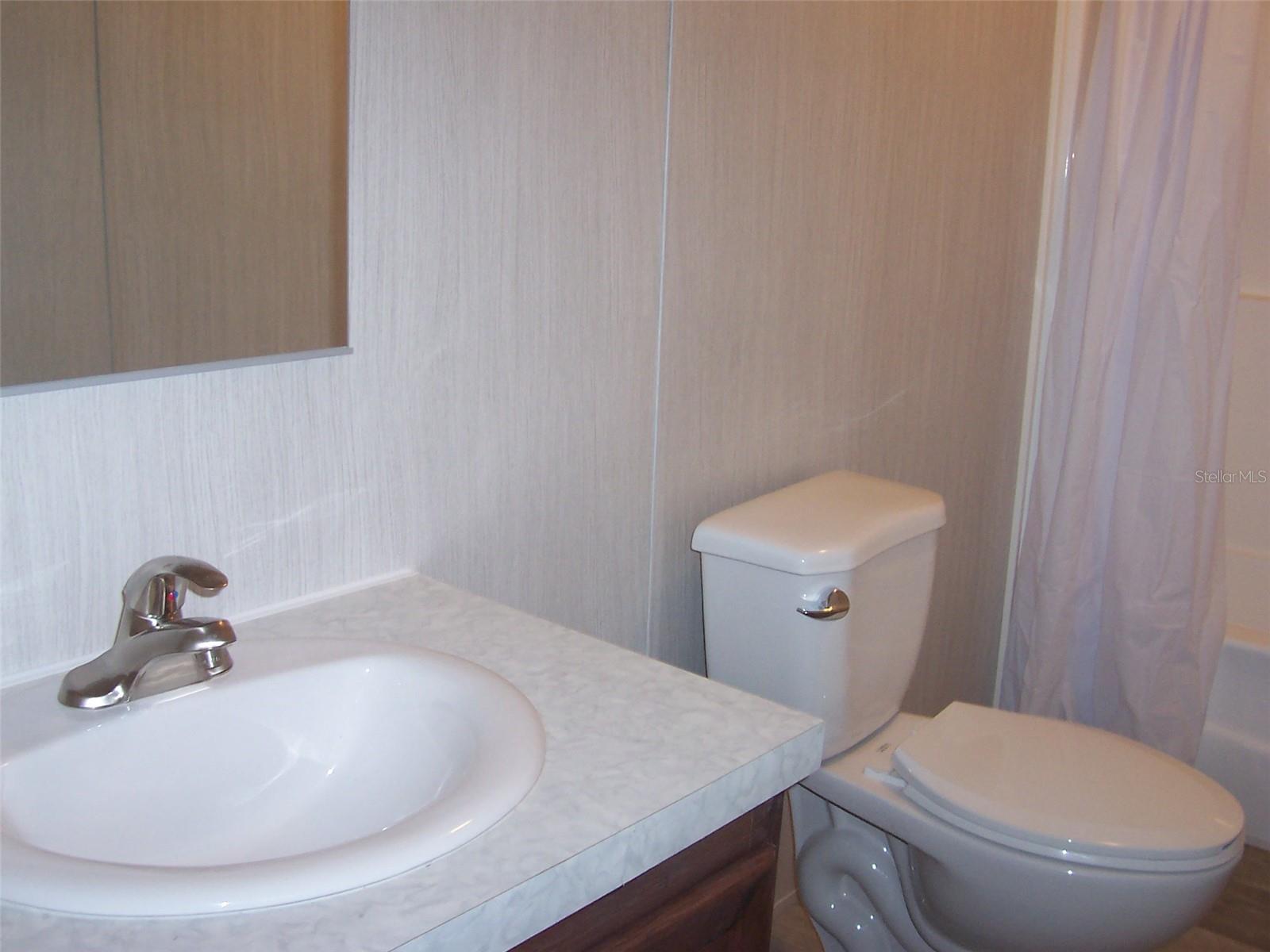 Guest Bath sink and commode.