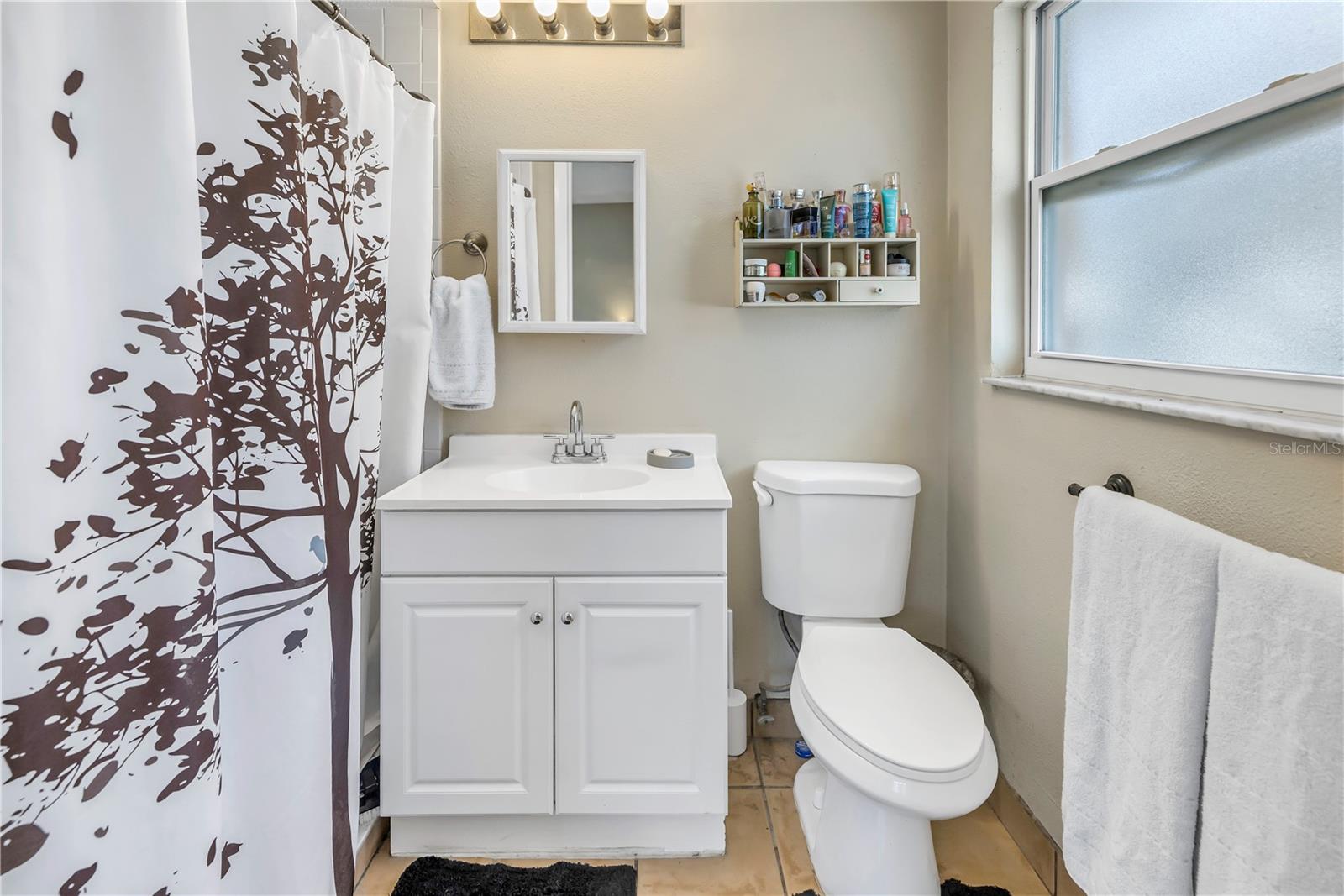 Primary bathroom with walk-in shower