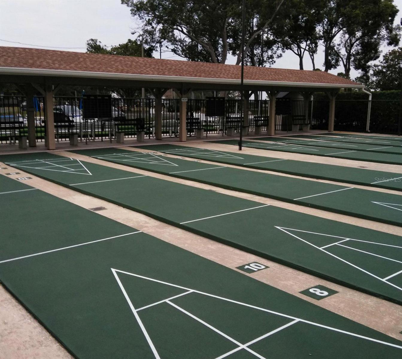 Shuffleboard Courts