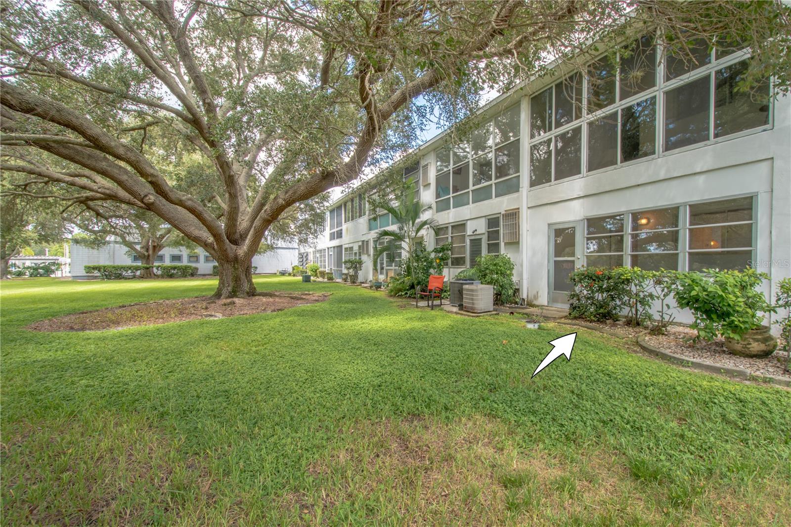 The back yard has plenty of shade beneath the stunning oak tree.