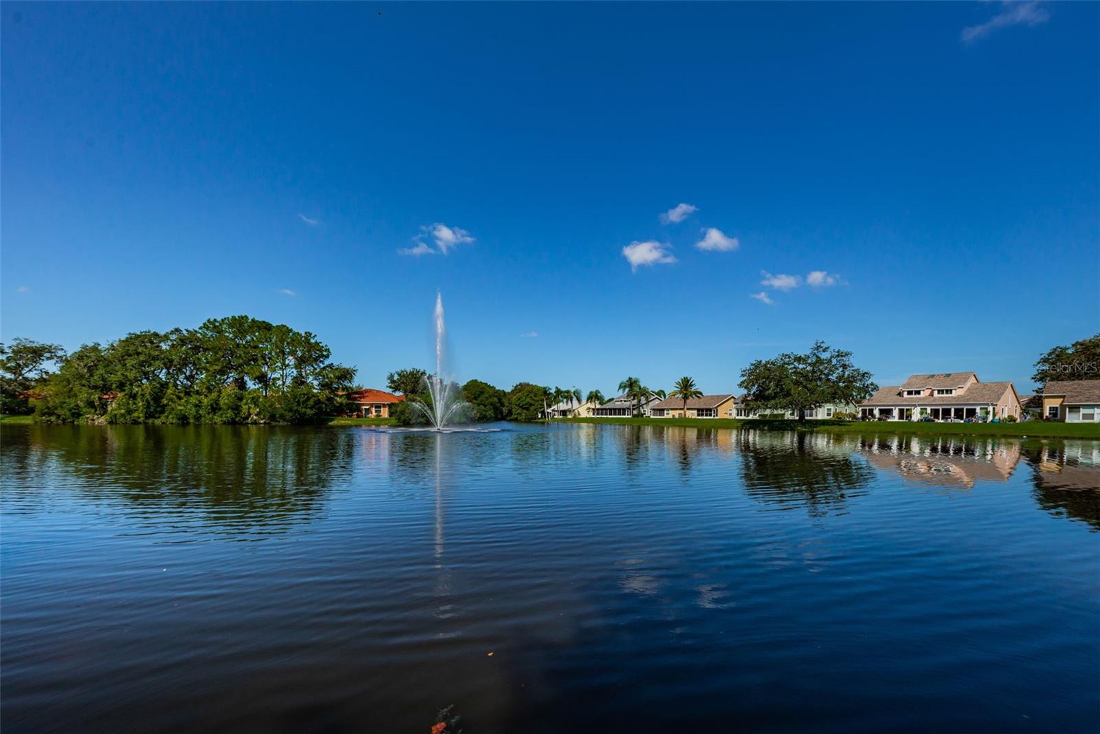 Millpond Estates Pond and Fountain