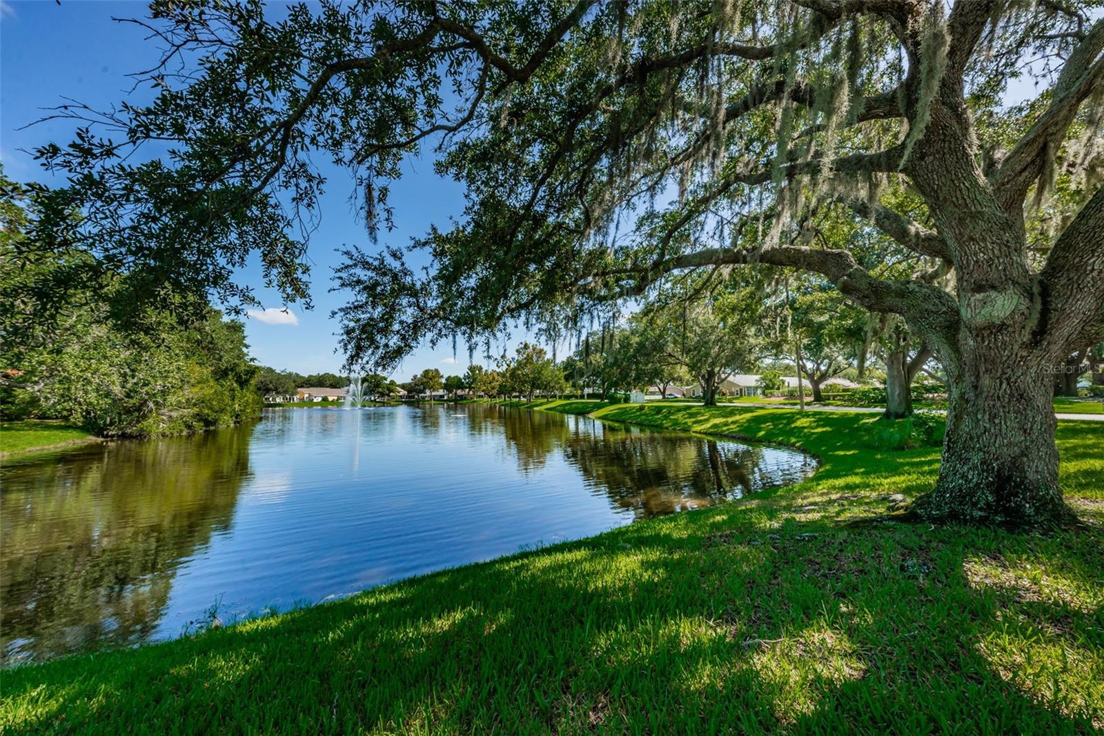 Millpond Estates Stunning, Well Maintained Common Area Grounds