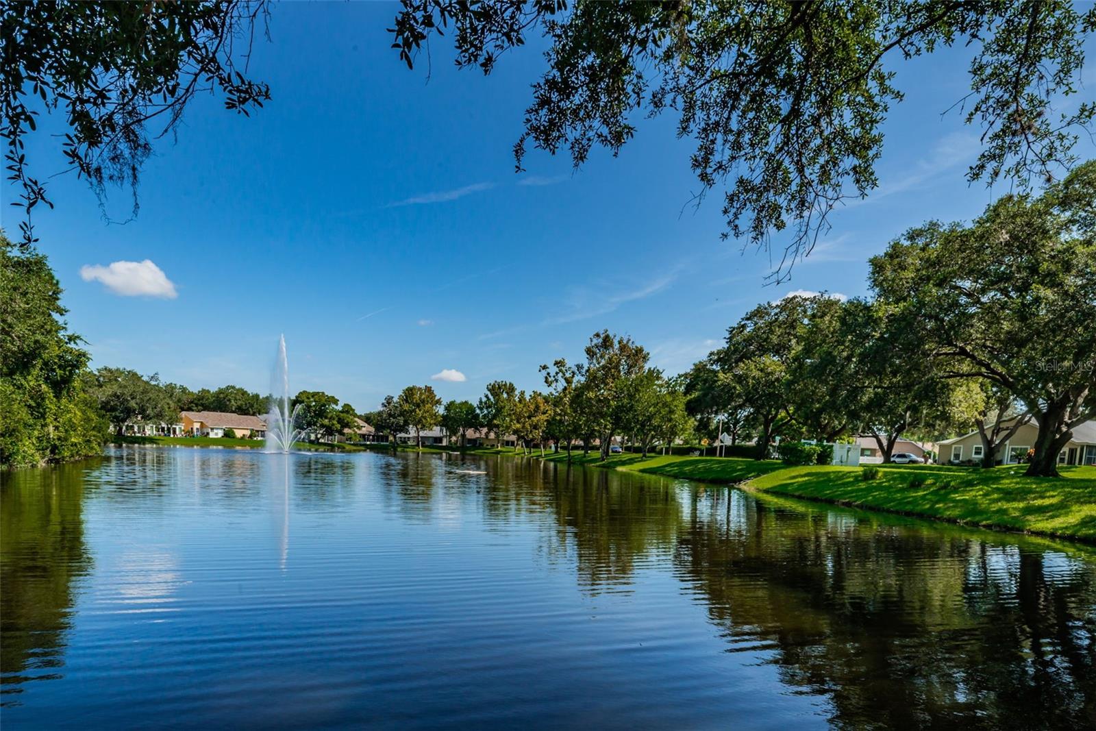 Millpond Estates Stunning, Well Maintained Common Area Grounds