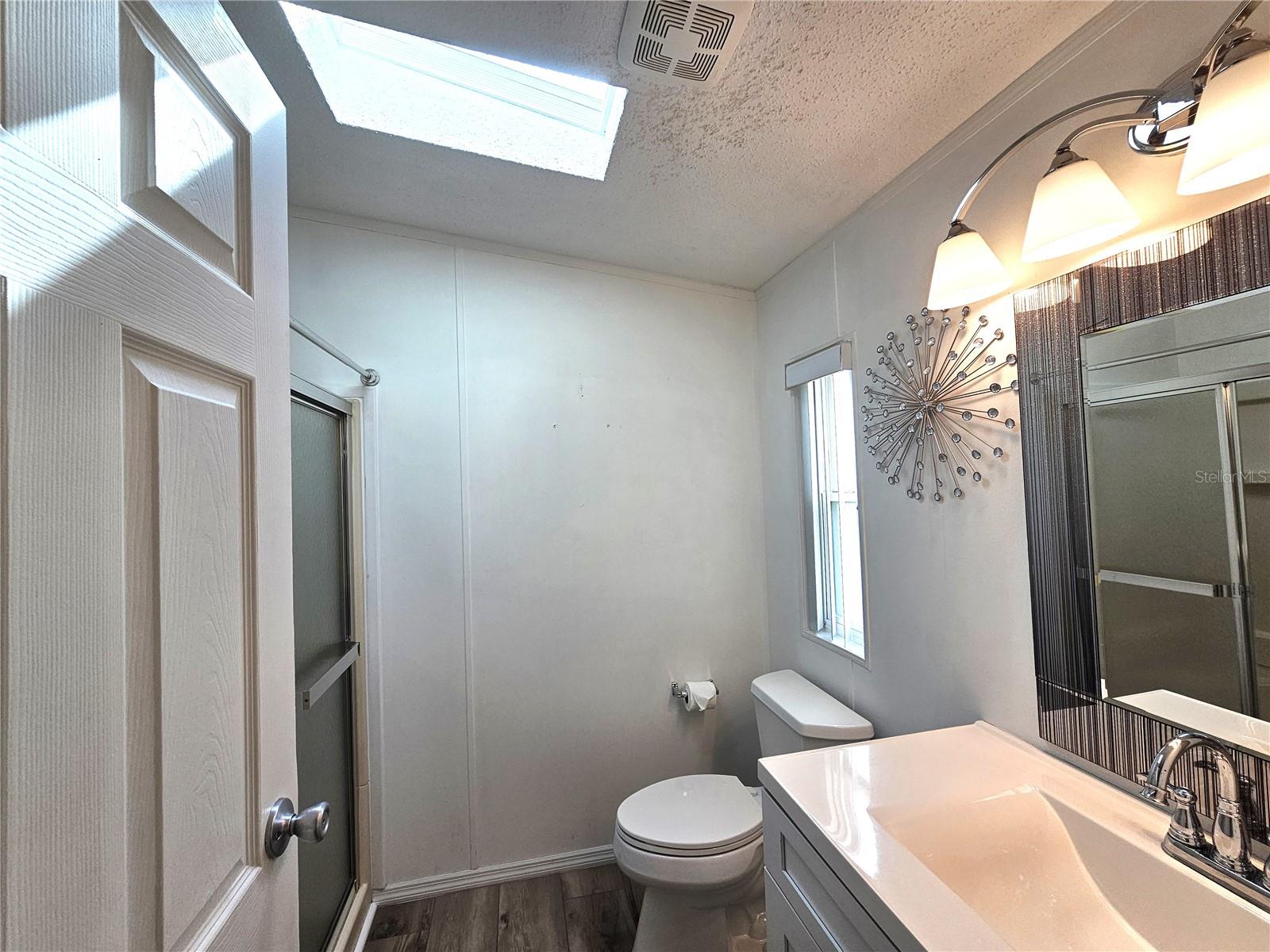 Primary Bathroom/Skylight