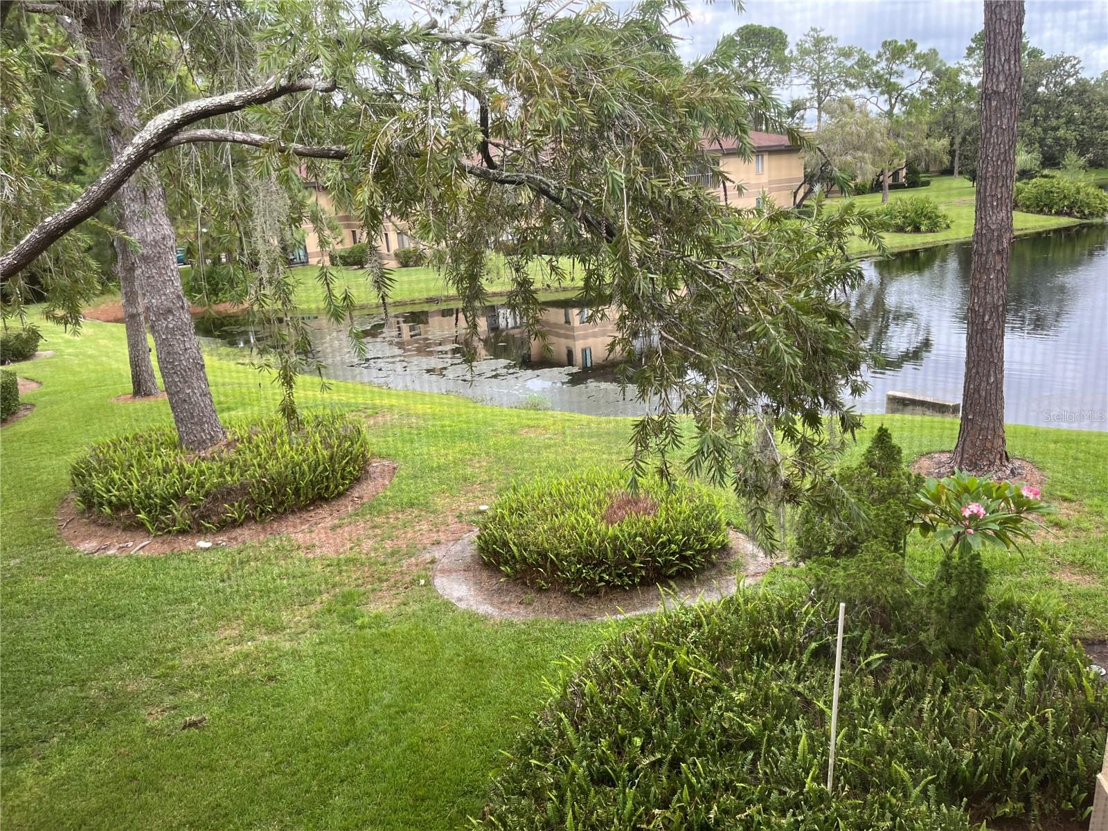 View from Florida Room of Tropical Landscaping and Pond