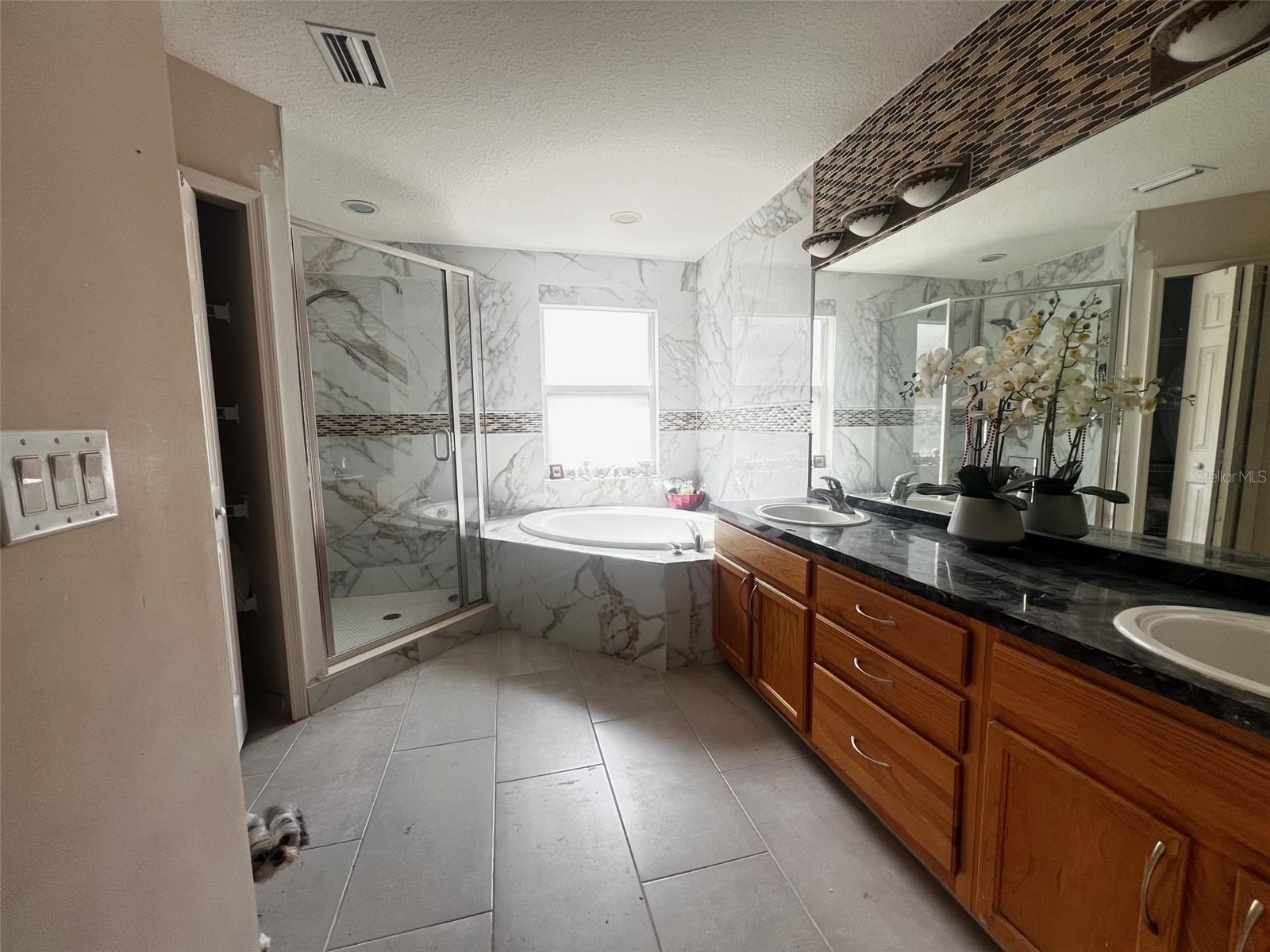 Master Bathroom with Garden Tub and Standing Shower