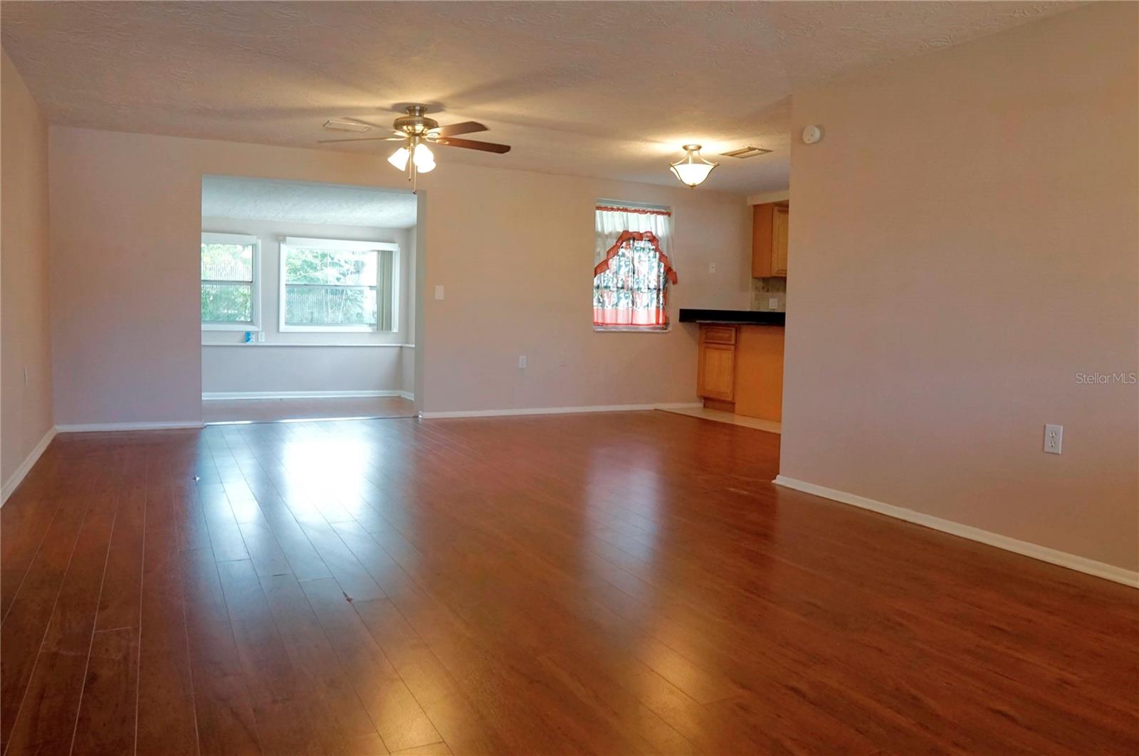 Living Room leading to the kitchen