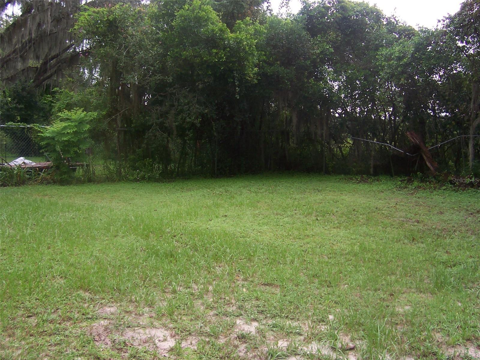 Tree lined back yard is picturesque