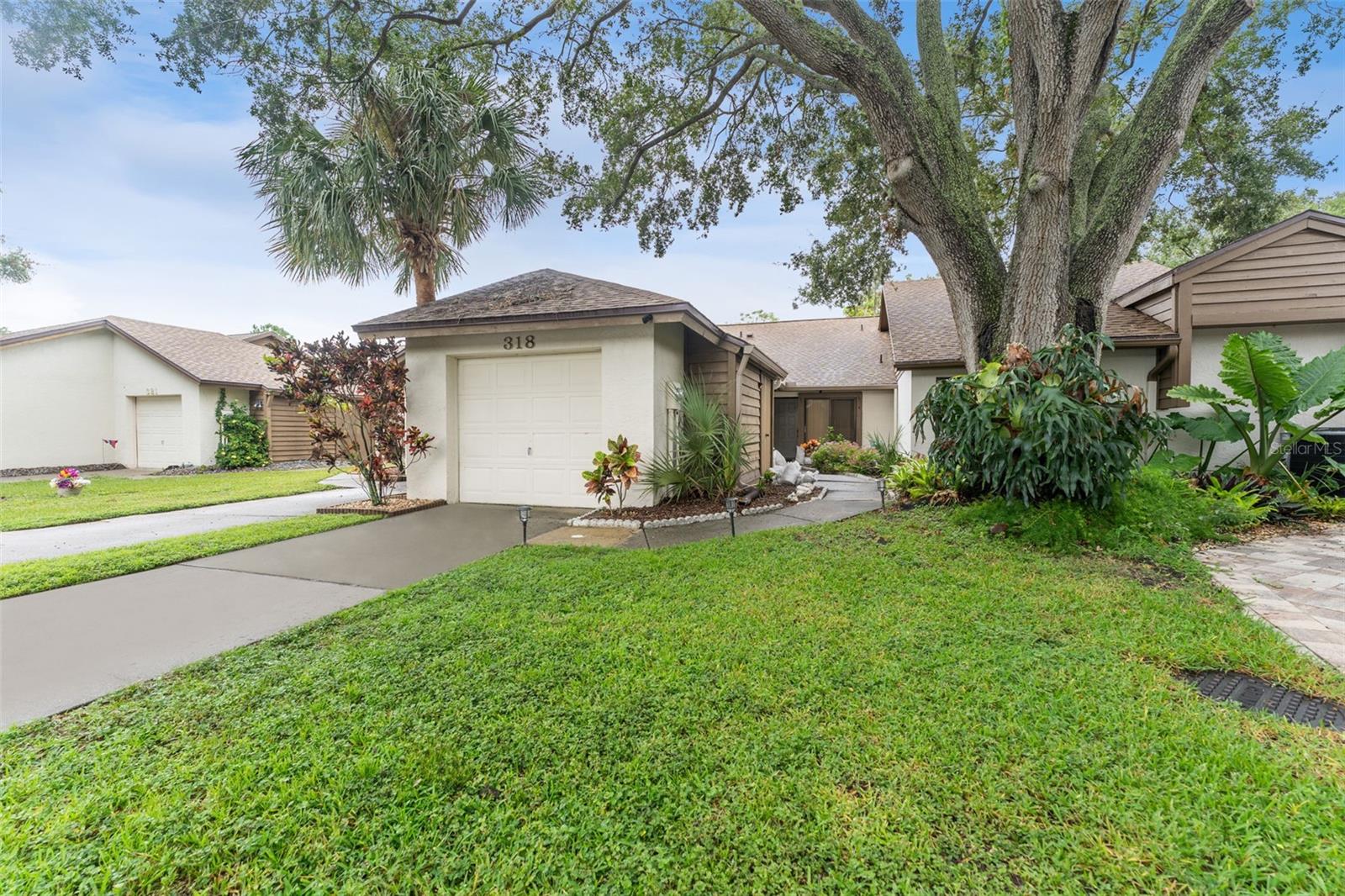 Landscaped Front Yard!