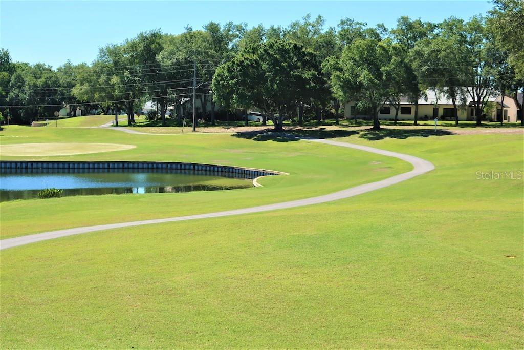 One of the several water holes