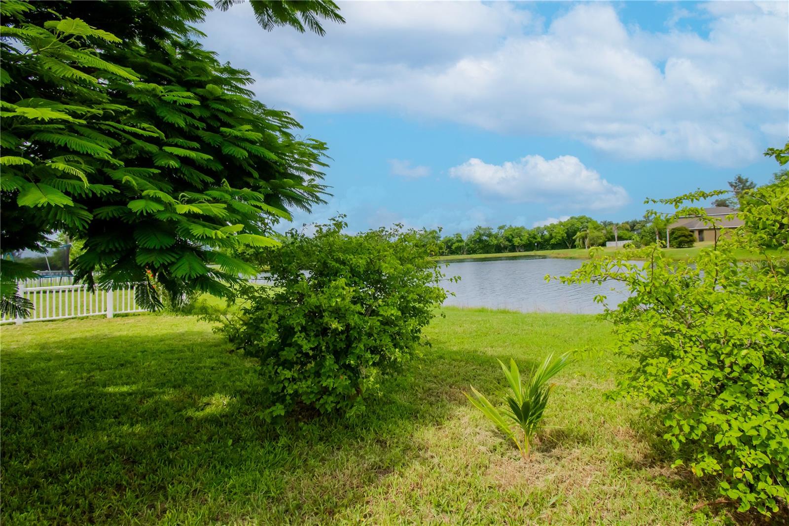 Backyard and lake