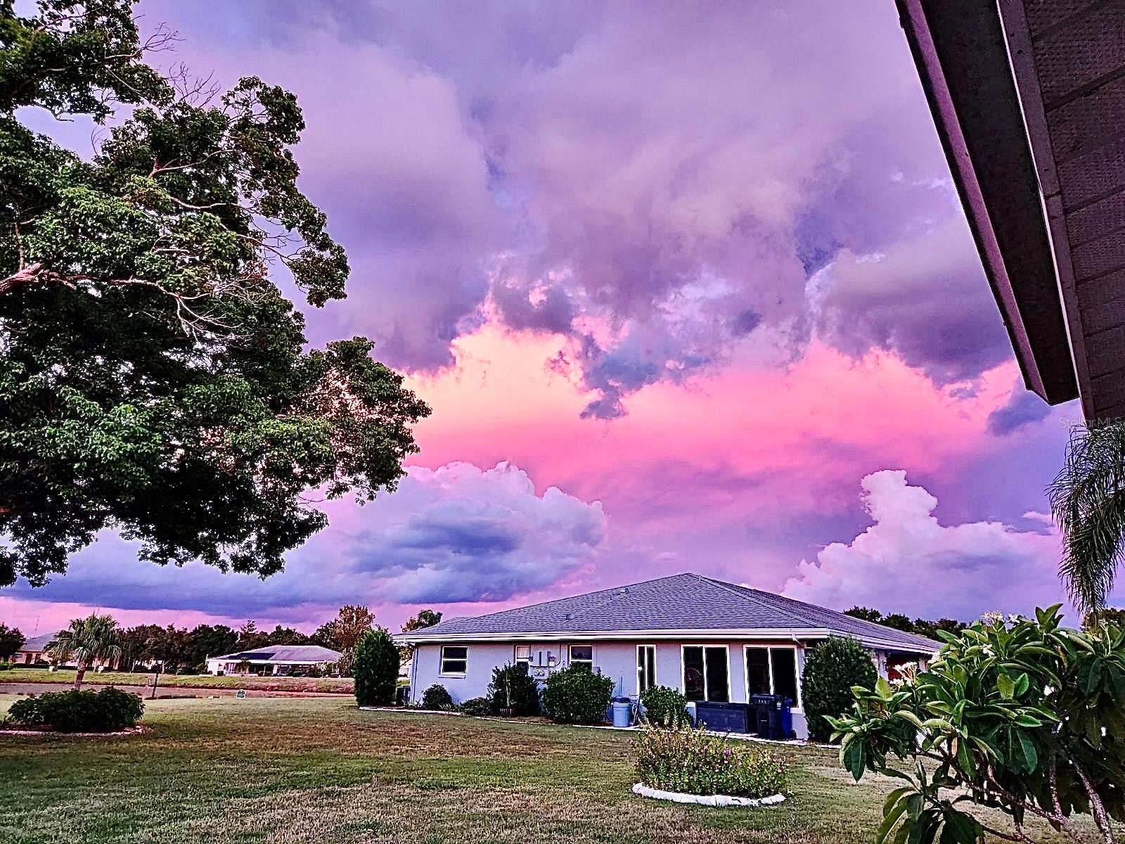 View out back three days ago from those same chairs in the pic before.