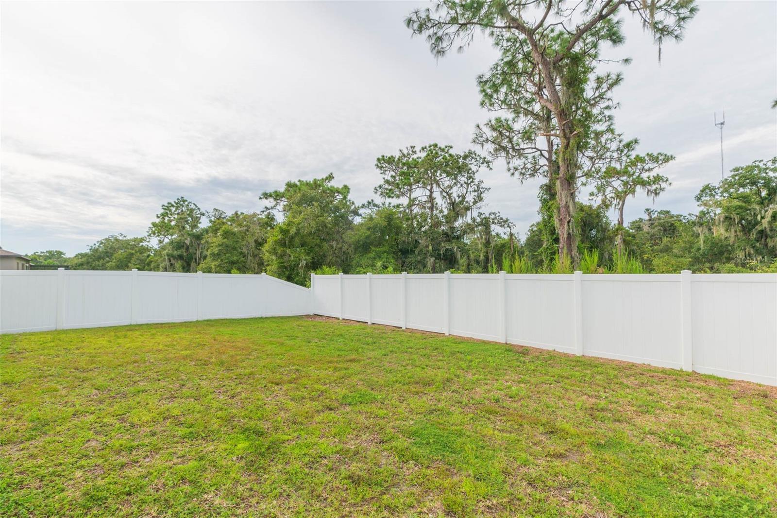 Privacy Backyard