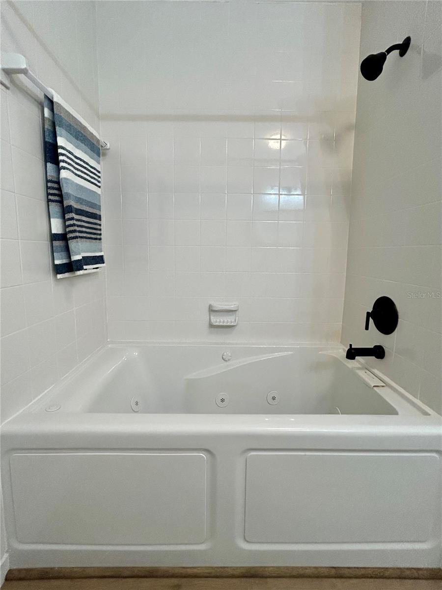 Jacuzzi tub with shower features