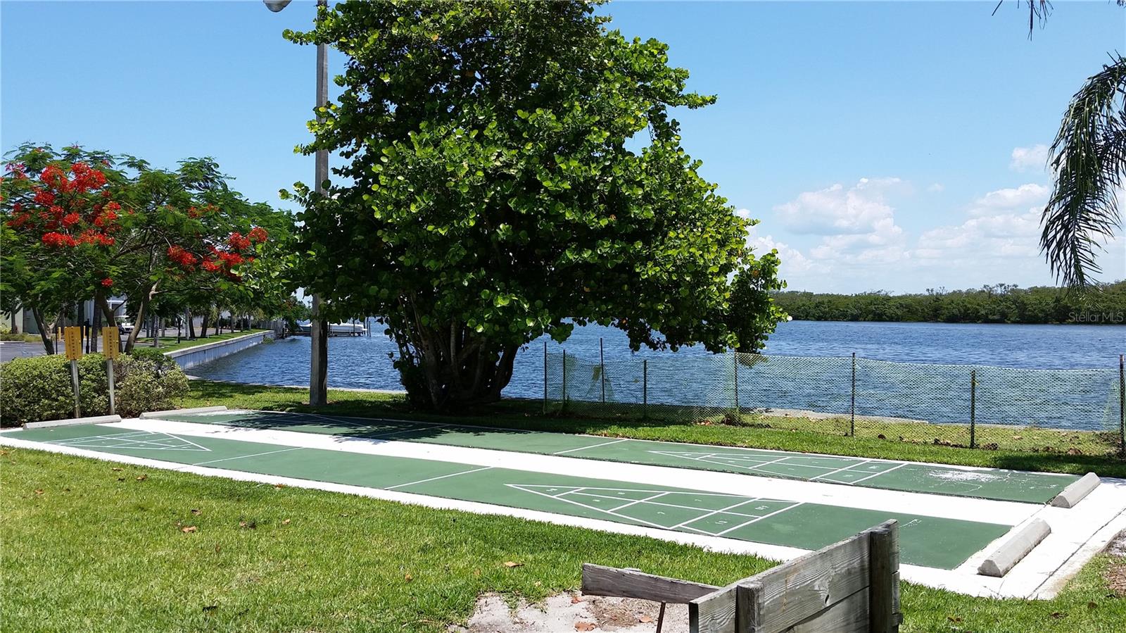 Shuffleboard