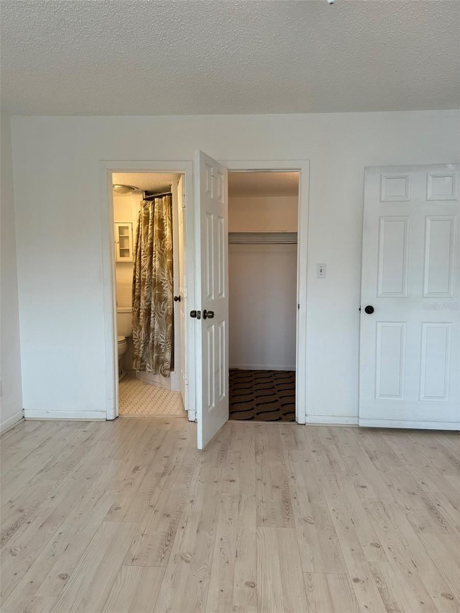 Primary Bedroom with Walk-In Closet and En Suite Bathroom