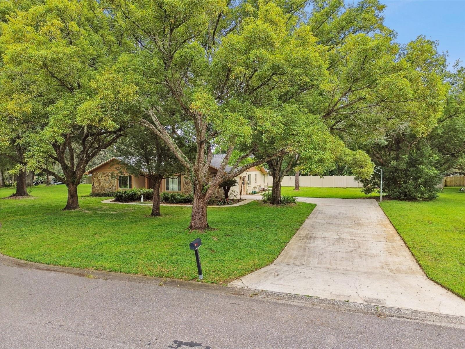 Long driveway pad.