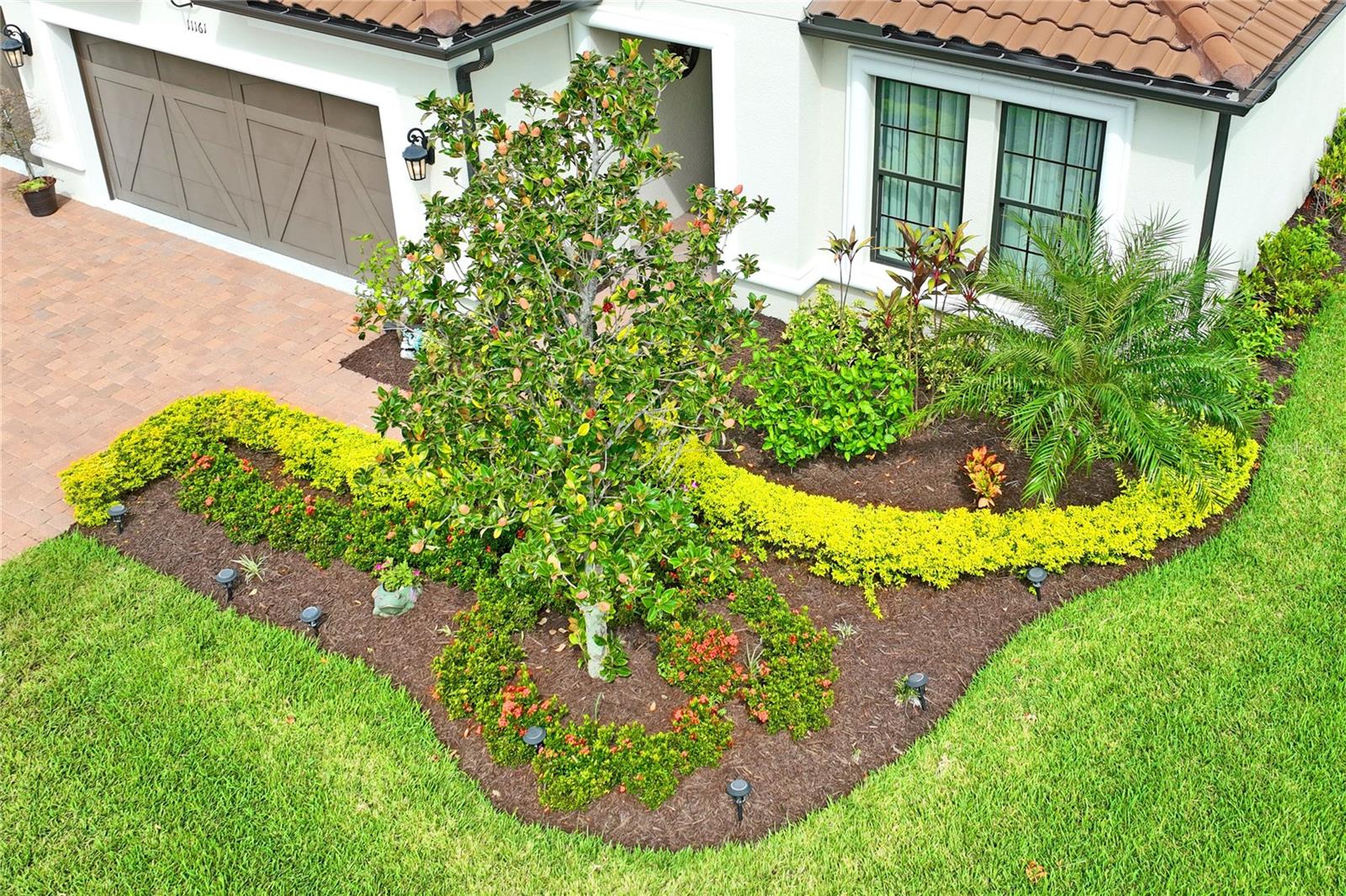 Florida native landscape