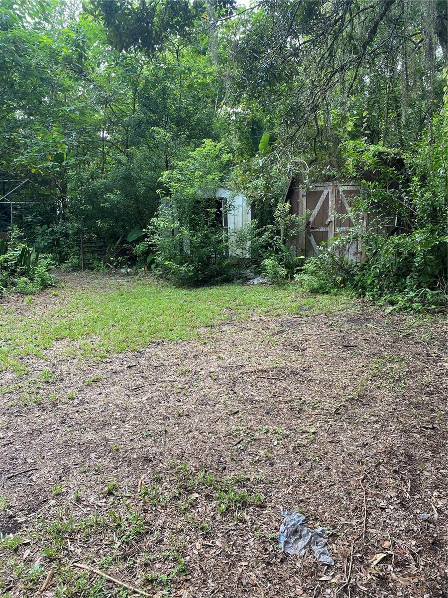 two of the back yard sheds, one is metal and one is wood