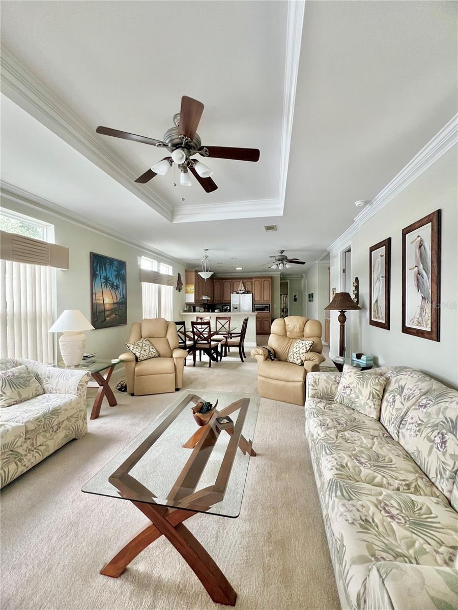 Living room with tray ceilings and crown molding