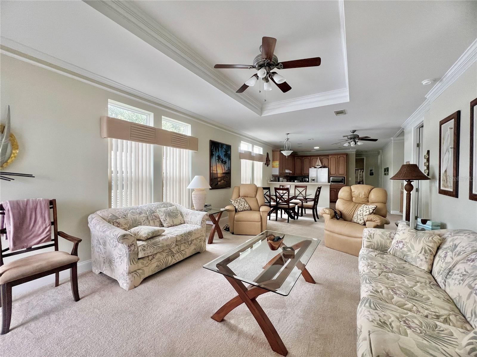 Living room with tray ceilings and crown molding