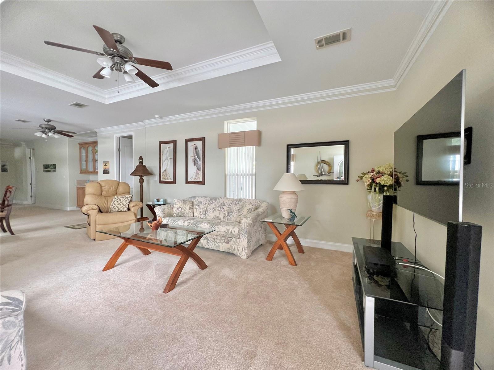 Living room with tray ceilings and crown molding