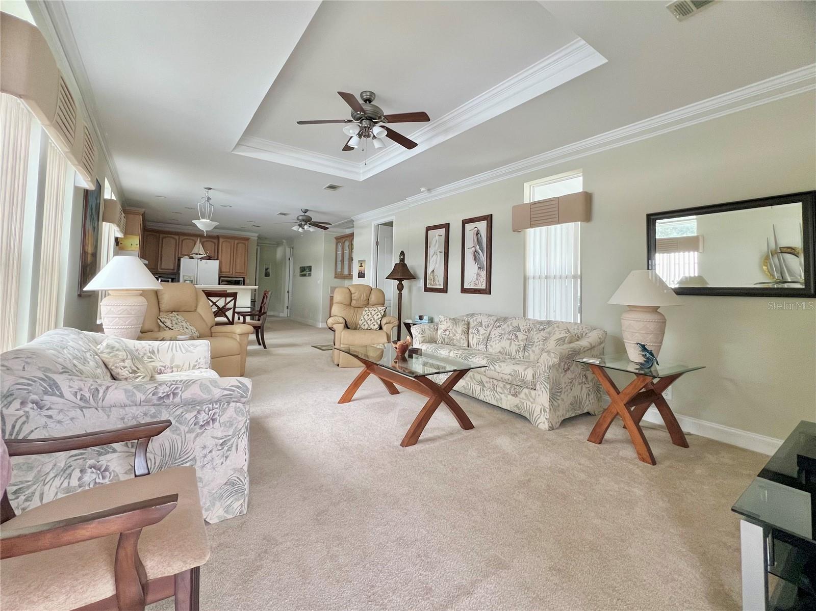 Living room with tray ceilings and crown molding