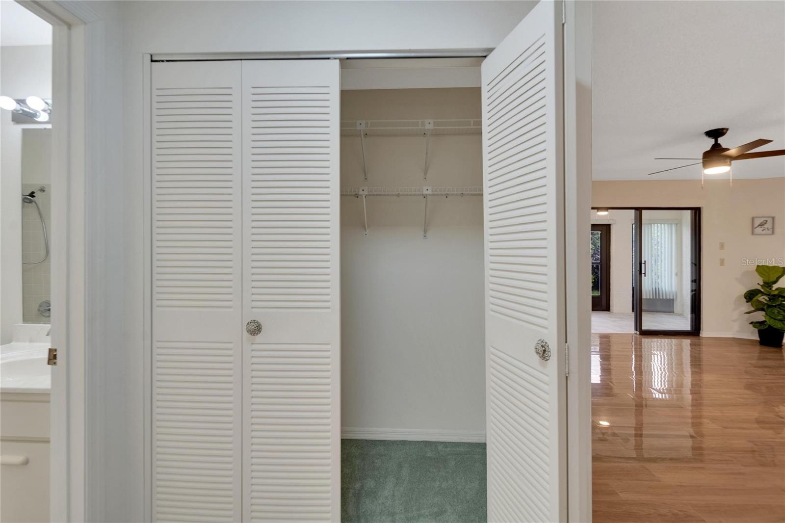 Hallway closet