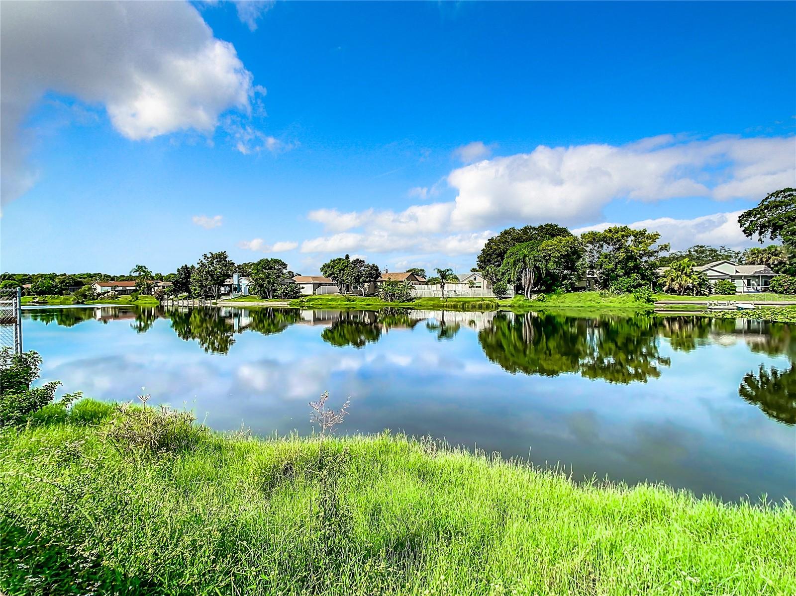 Pond View