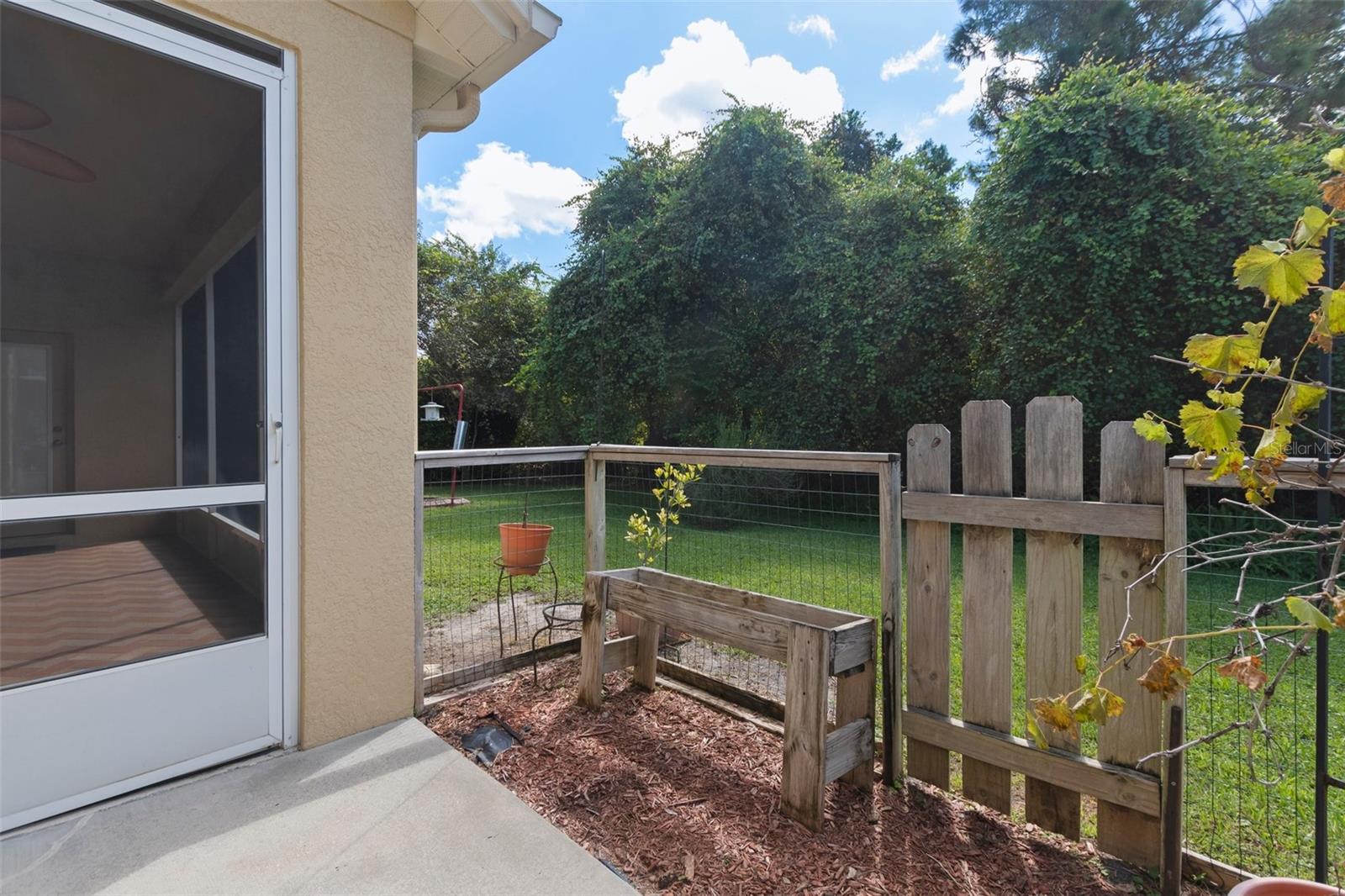 Backyard Garden Area