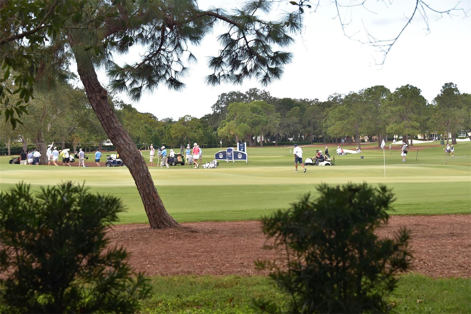 Golfers