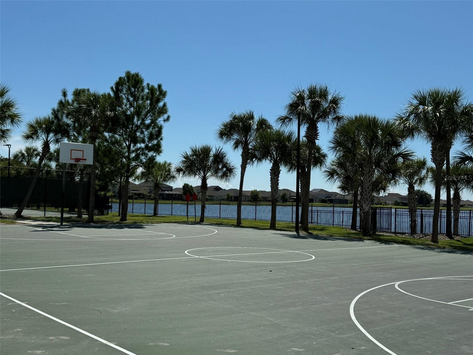 Basketball Court