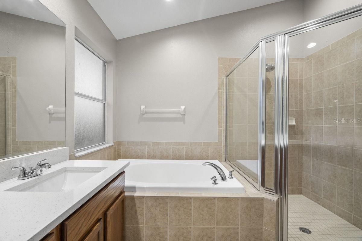 Master Tub & Shower