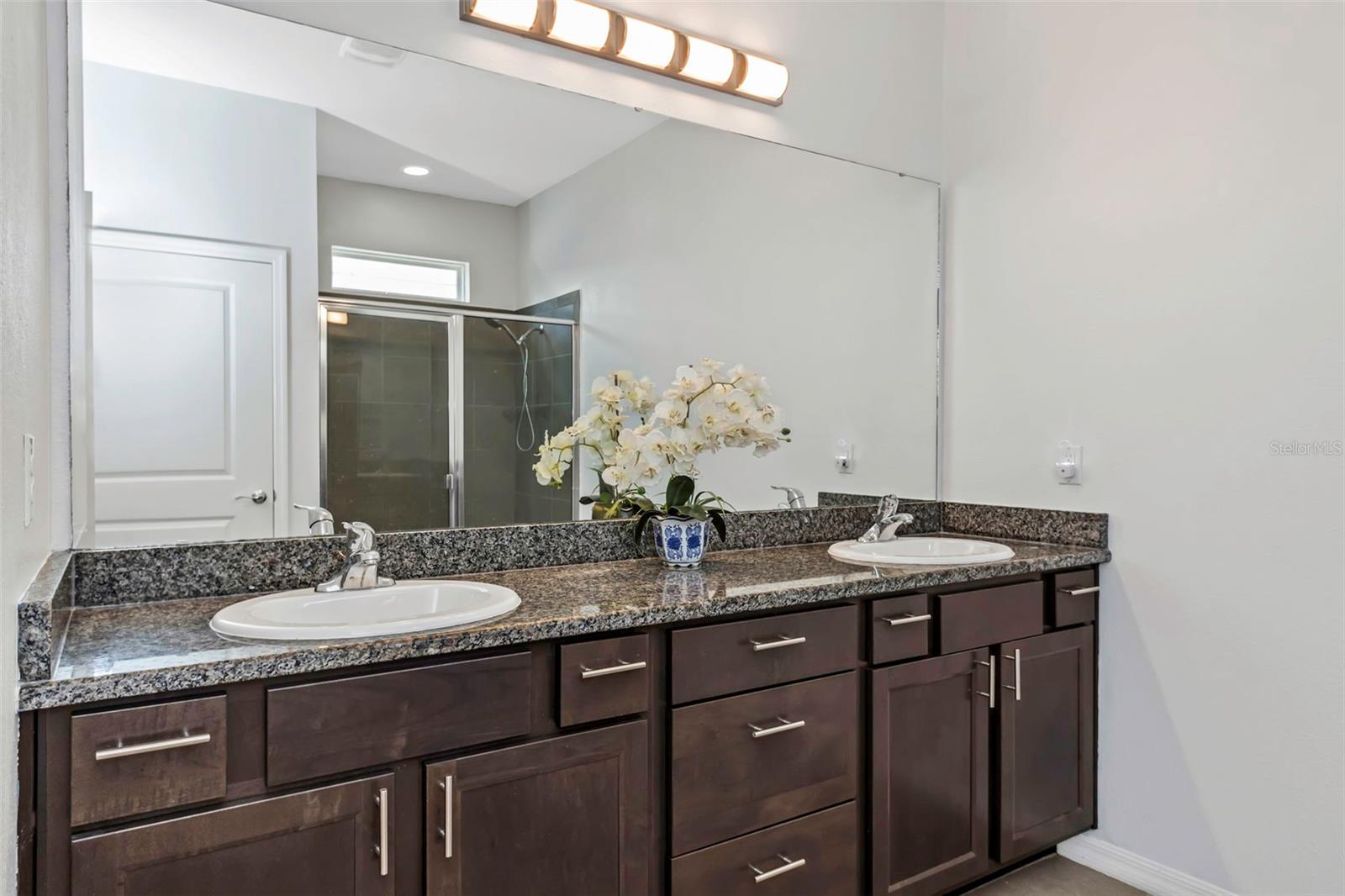 Master Bathroom Dual Sinks