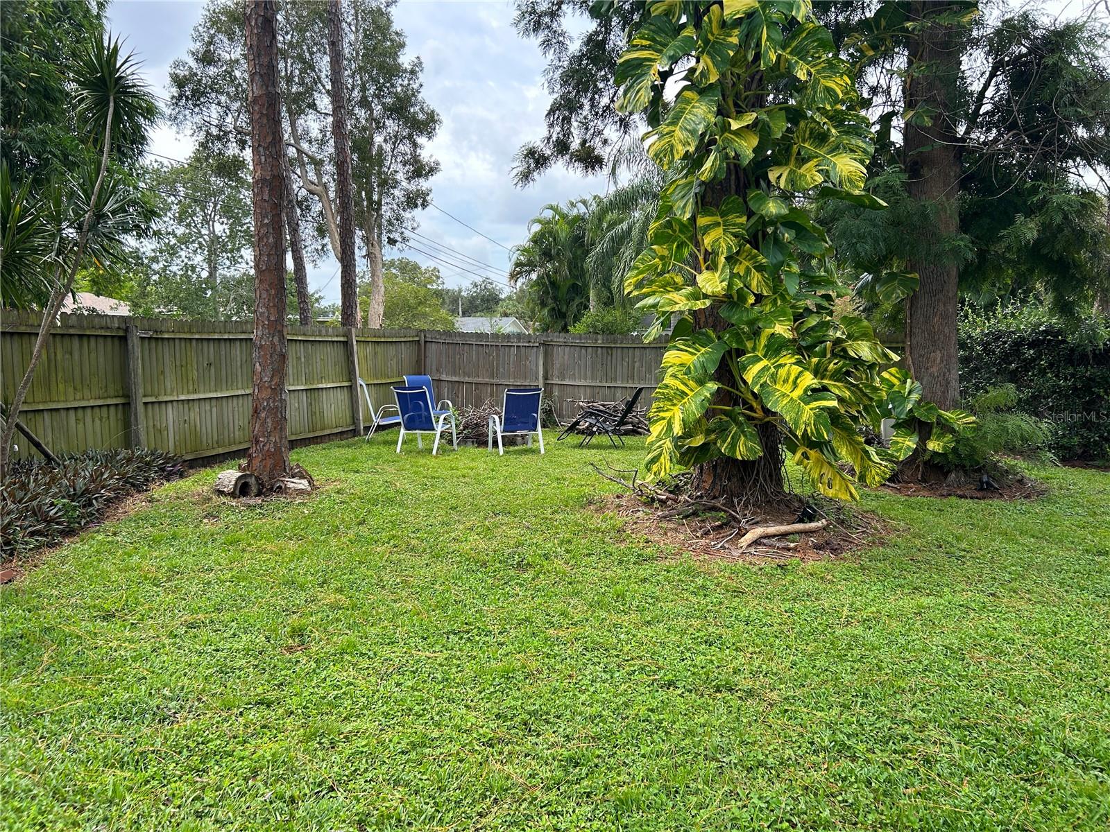 Backyard with Privacy Fence