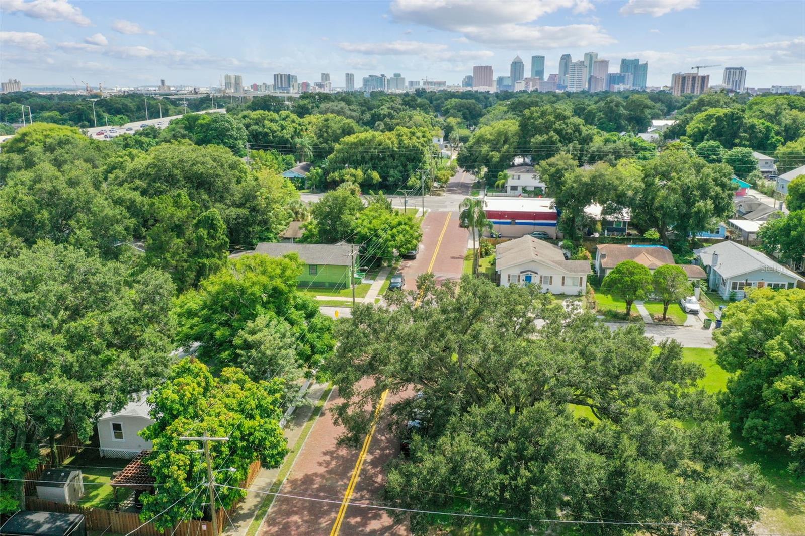 South View of Downtown Tampa